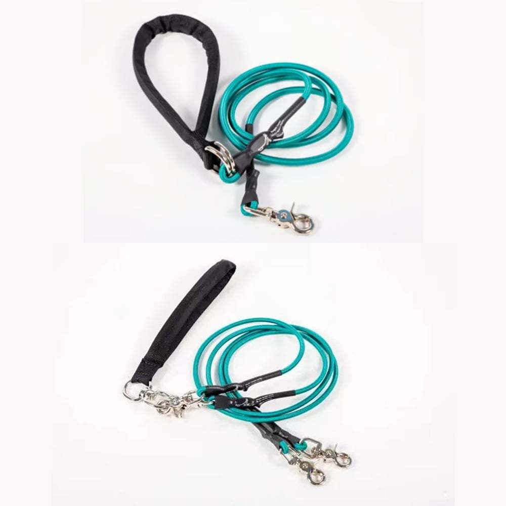 🔥🐕Double Bungee Leash - 1st step training tool-tidenox