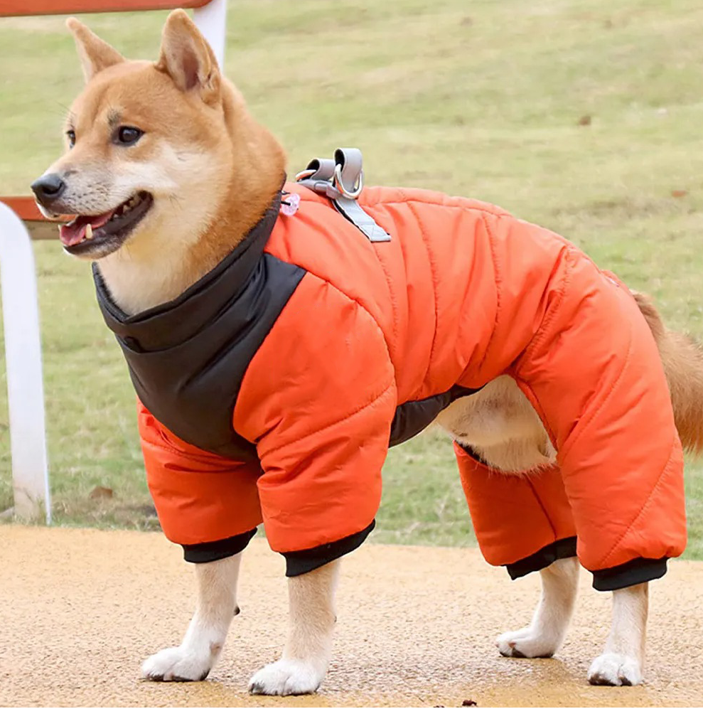  Pet Winter Warm Windproof