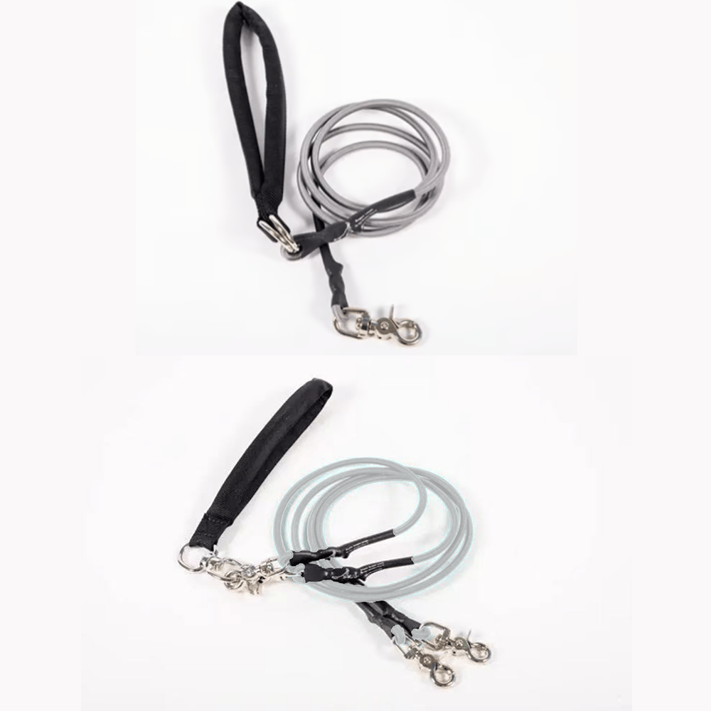 🔥🐕Double Bungee Leash - 1st step training tool-tidenox