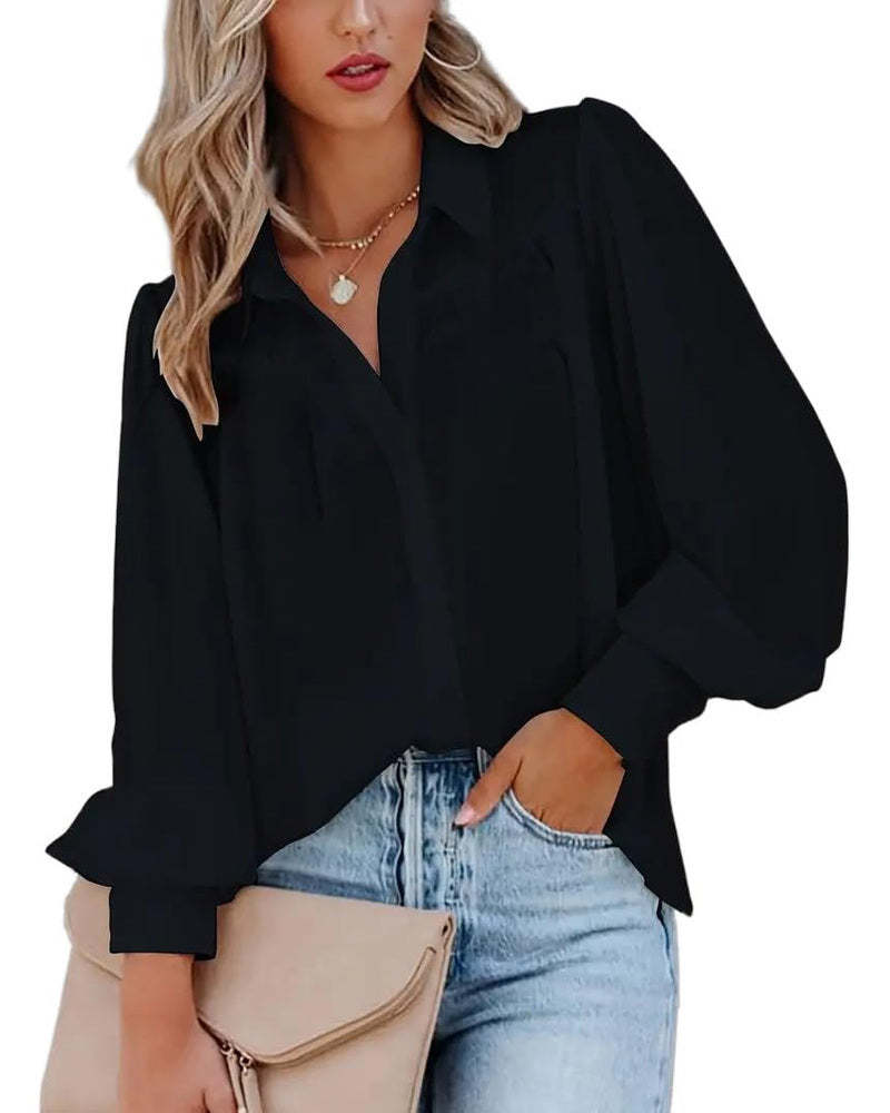 Zeagoo Printed Lantern Long Sleeve Blouse-tidenox