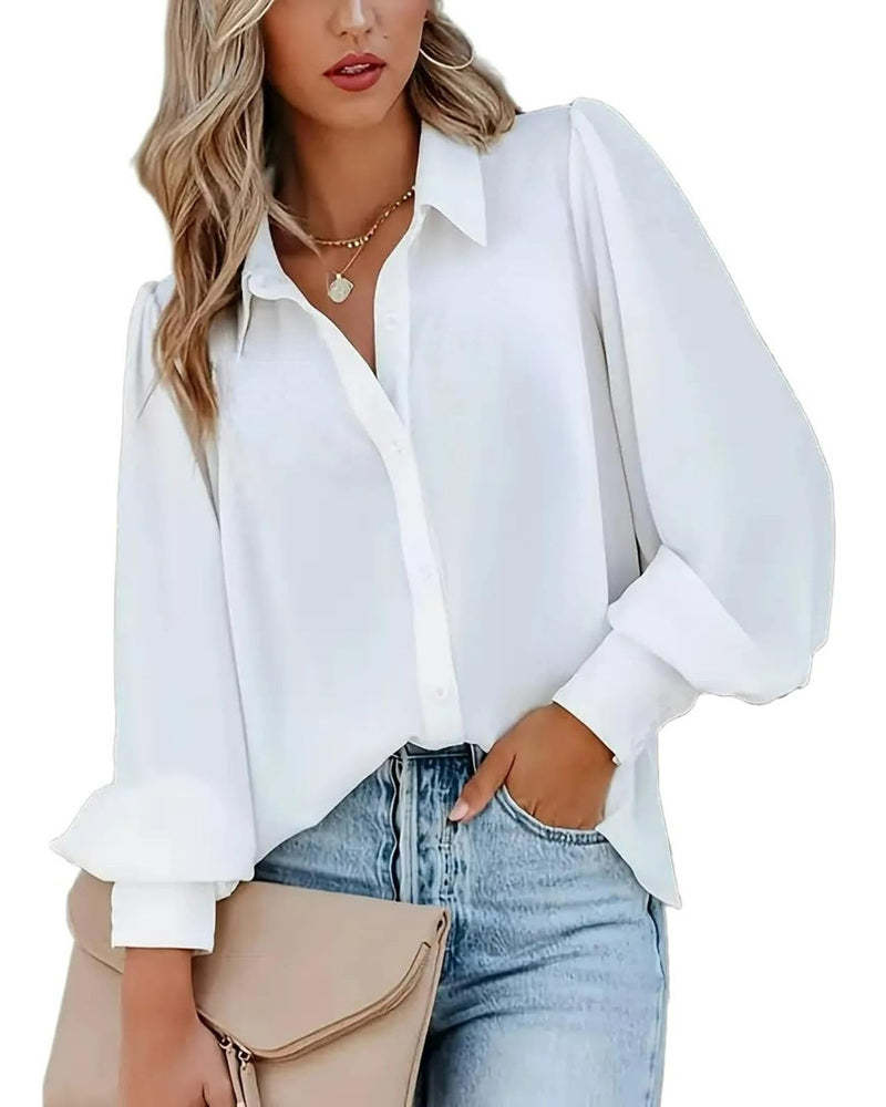 Zeagoo Printed Lantern Long Sleeve Blouse-tidenox