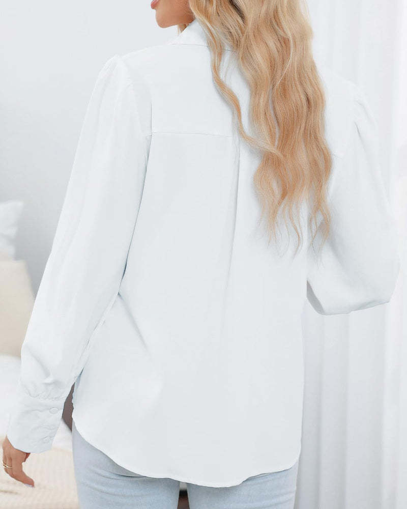 Zeagoo Printed Lantern Long Sleeve Blouse-tidenox