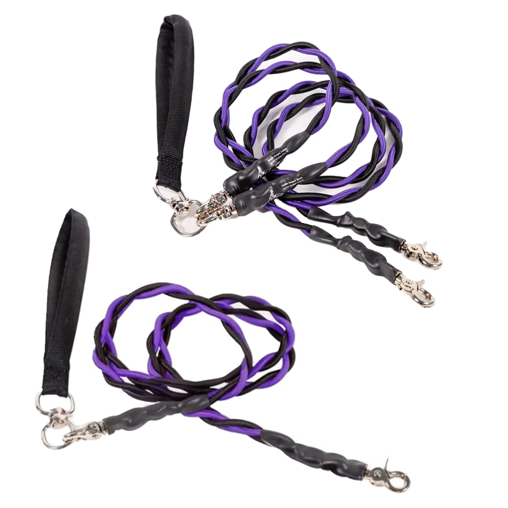 🔥🐕Double Bungee Leash - 1st step training tool-tidenox