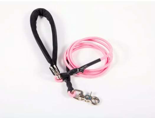 🔥🐕Double Bungee Leash - 1st step training tool-tidenox