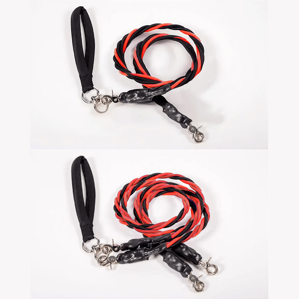 🔥🐕Double Bungee Leash - 1st step training tool-tidenox