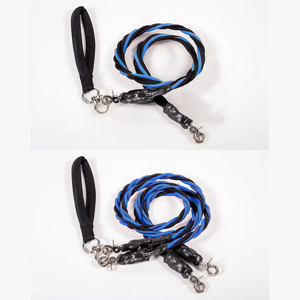 🔥🐕Double Bungee Leash - 1st step training tool-tidenox
