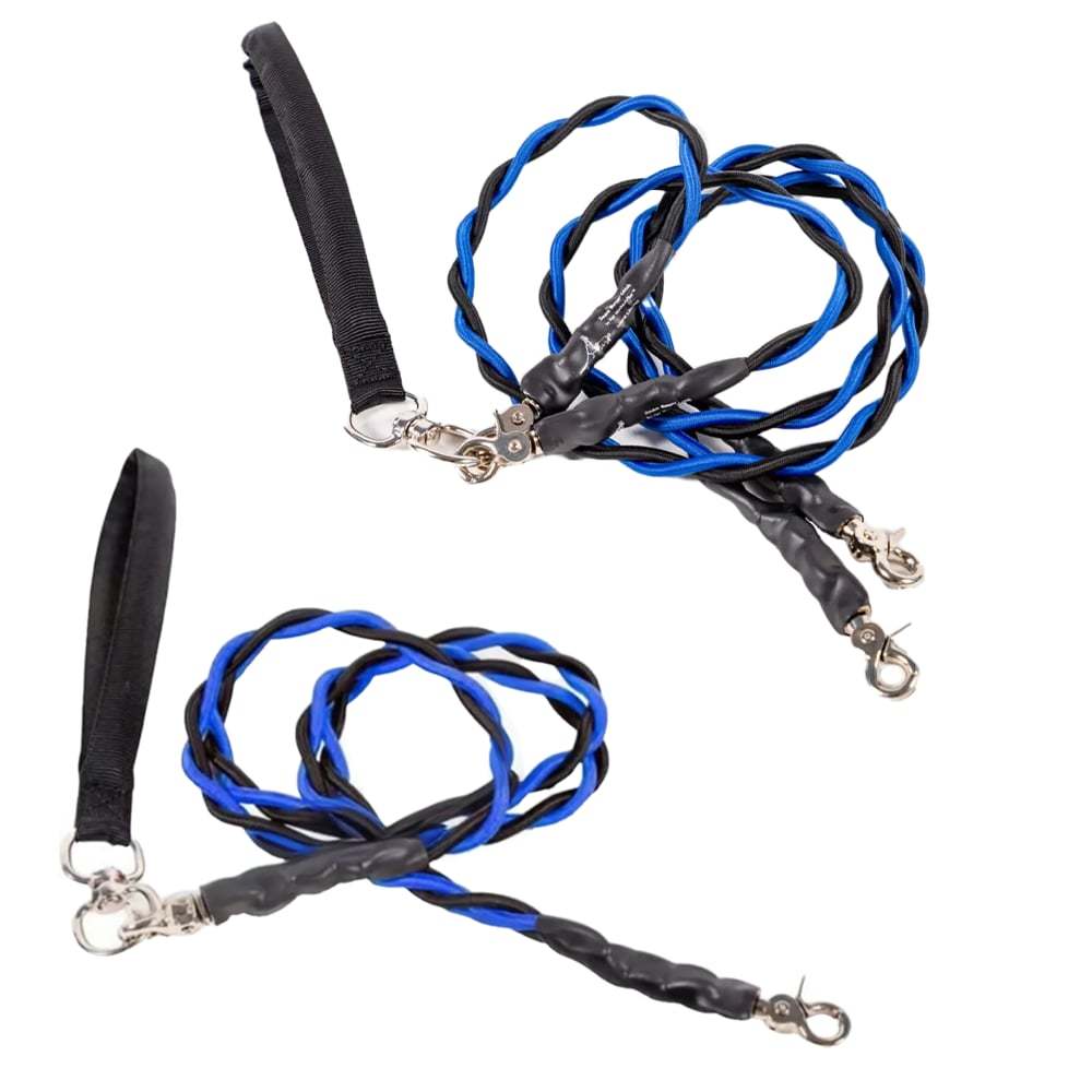 🔥🐕Double Bungee Leash - 1st step training tool-tidenox