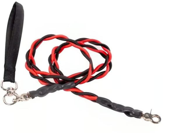 🔥🐕Double Bungee Leash - 1st step training tool-tidenox