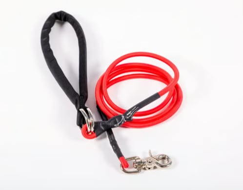🔥🐕Double Bungee Leash - 1st step training tool-tidenox