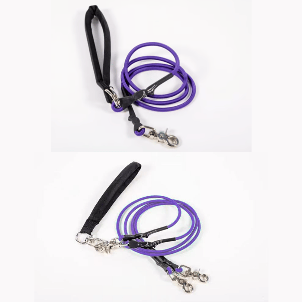 🔥🐕Double Bungee Leash - 1st step training tool-tidenox