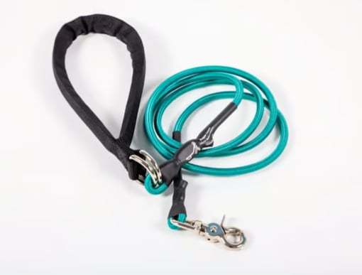 🔥🐕Double Bungee Leash - 1st step training tool-tidenox