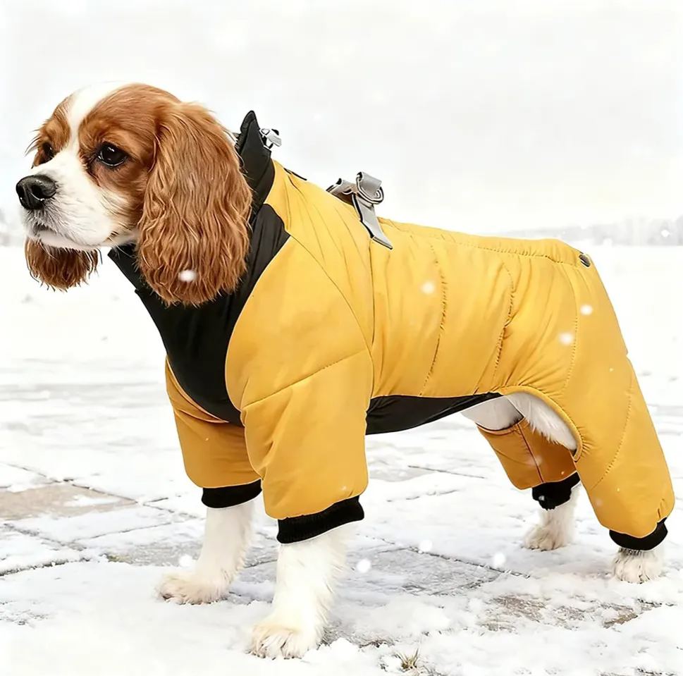  Pet Winter Warm Windproof