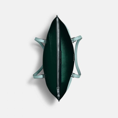 Coach Classic handbags