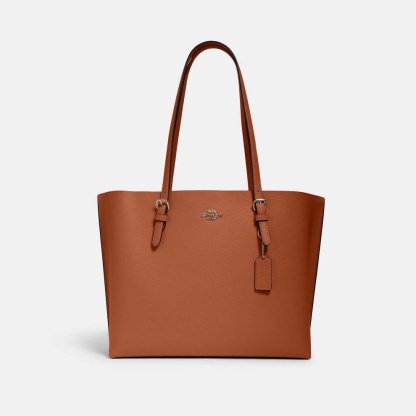 Coach Classic handbags