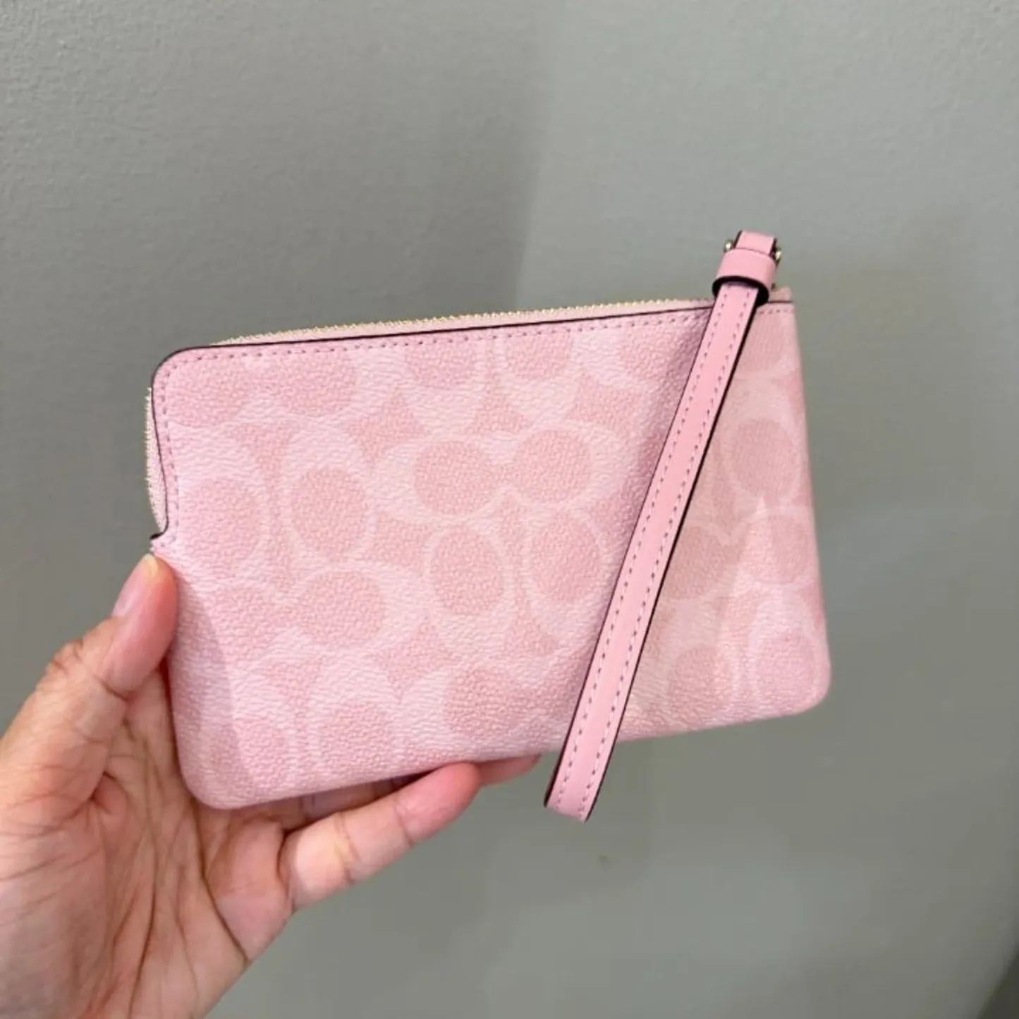 Corner Zip Wristlet In Signature Canvas