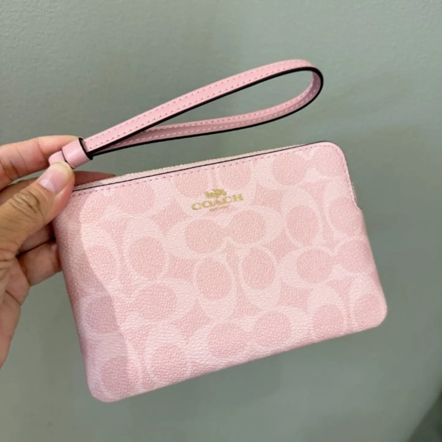 Corner Zip Wristlet In Signature Canvas