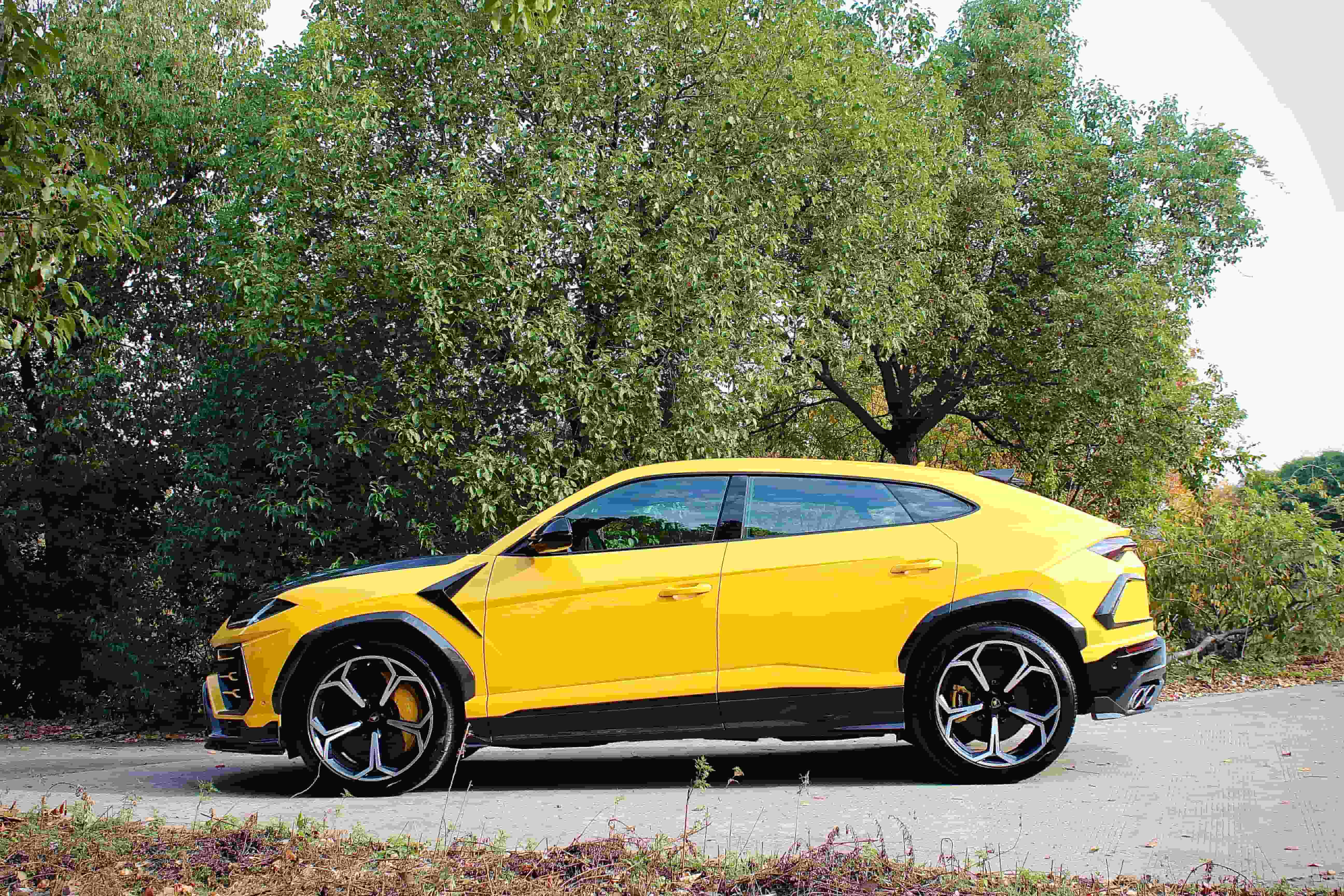 2018-2022 Lamborghini URUS Rear Diffuser Dry Carbon Fiber TC Series Bodykit