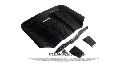 Lamborghini EVO Ocean Design Style Dry Carbon Parts - styling reference for Engine Cover