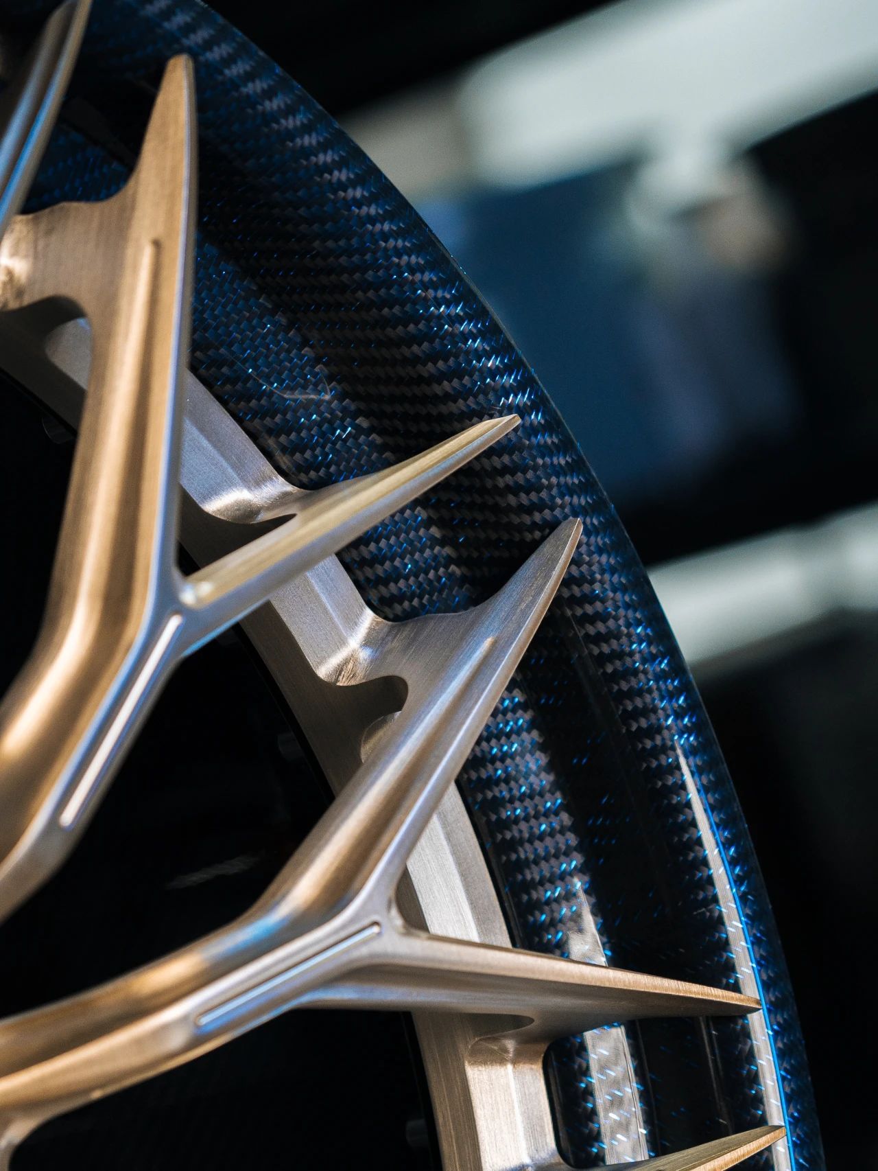 Octopus & Ocean Design Custom Carbon Fiber Wheels - styling view