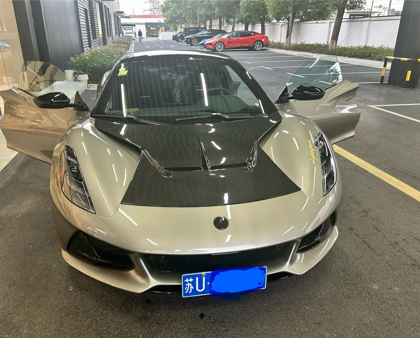 Lotus Emira/Eletre/Emeya Marble-Pattern Dry Carbon Badges - styling view