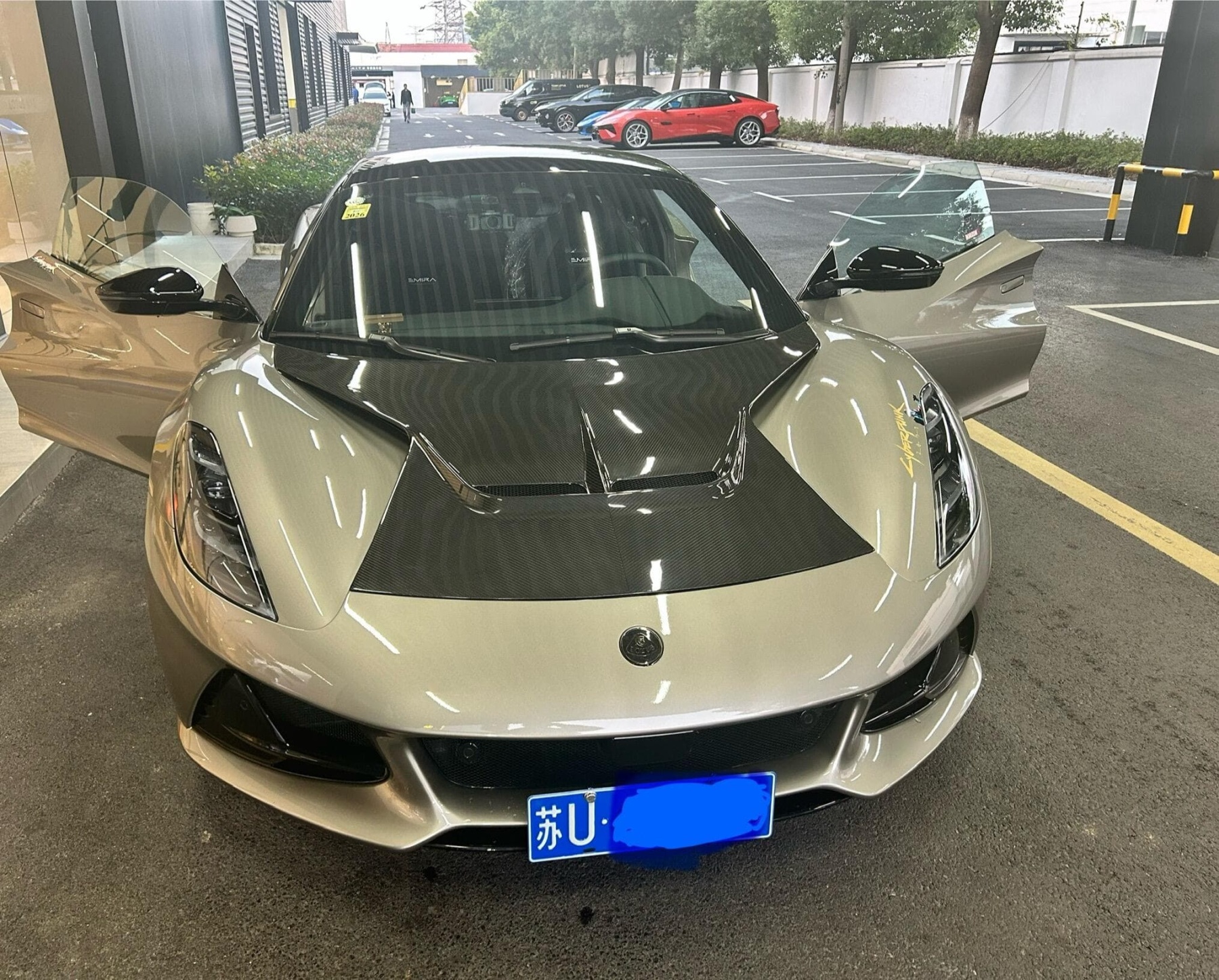 Lotus Emira/Eletre/Emeya Marble-Pattern Dry Carbon Badges - styling view
