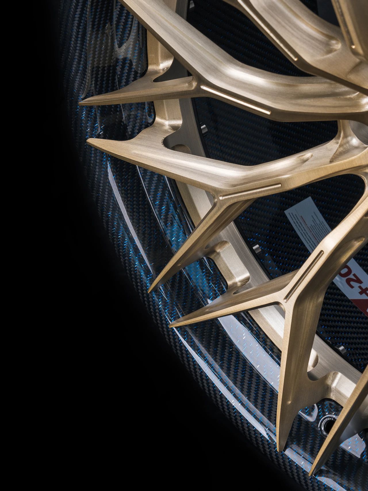 Octopus & Ocean Design Custom Carbon Fiber Wheels - styling view