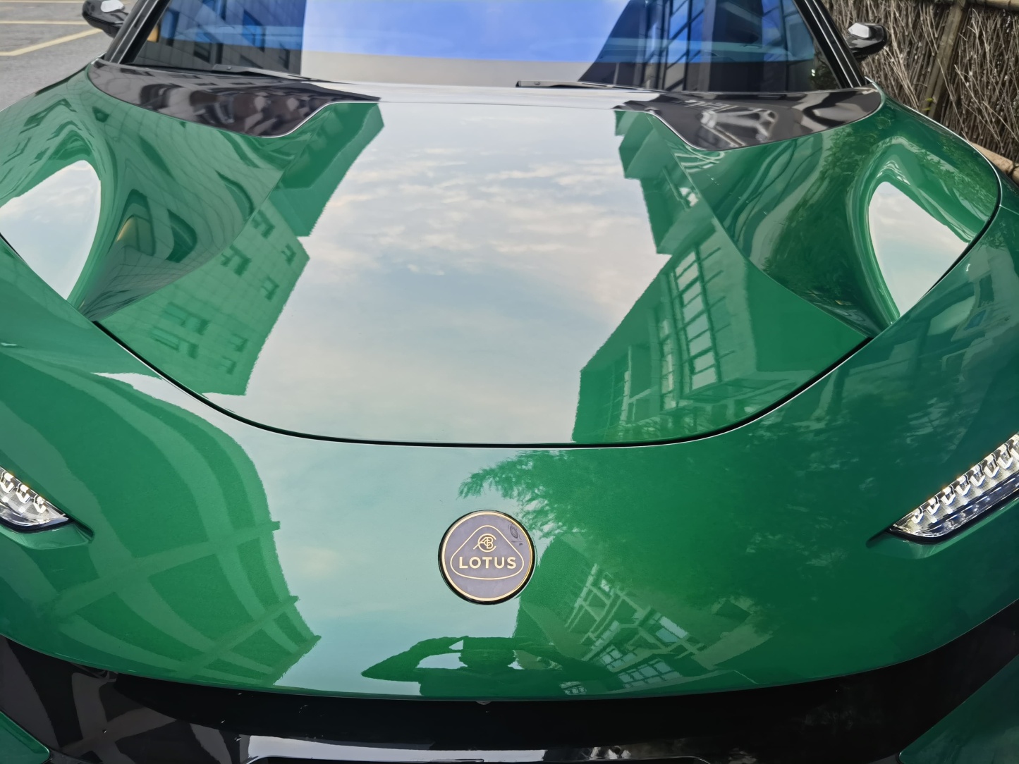 Lotus Emira/Eletre/Emeya Marble-Pattern Dry Carbon Badges - styling view