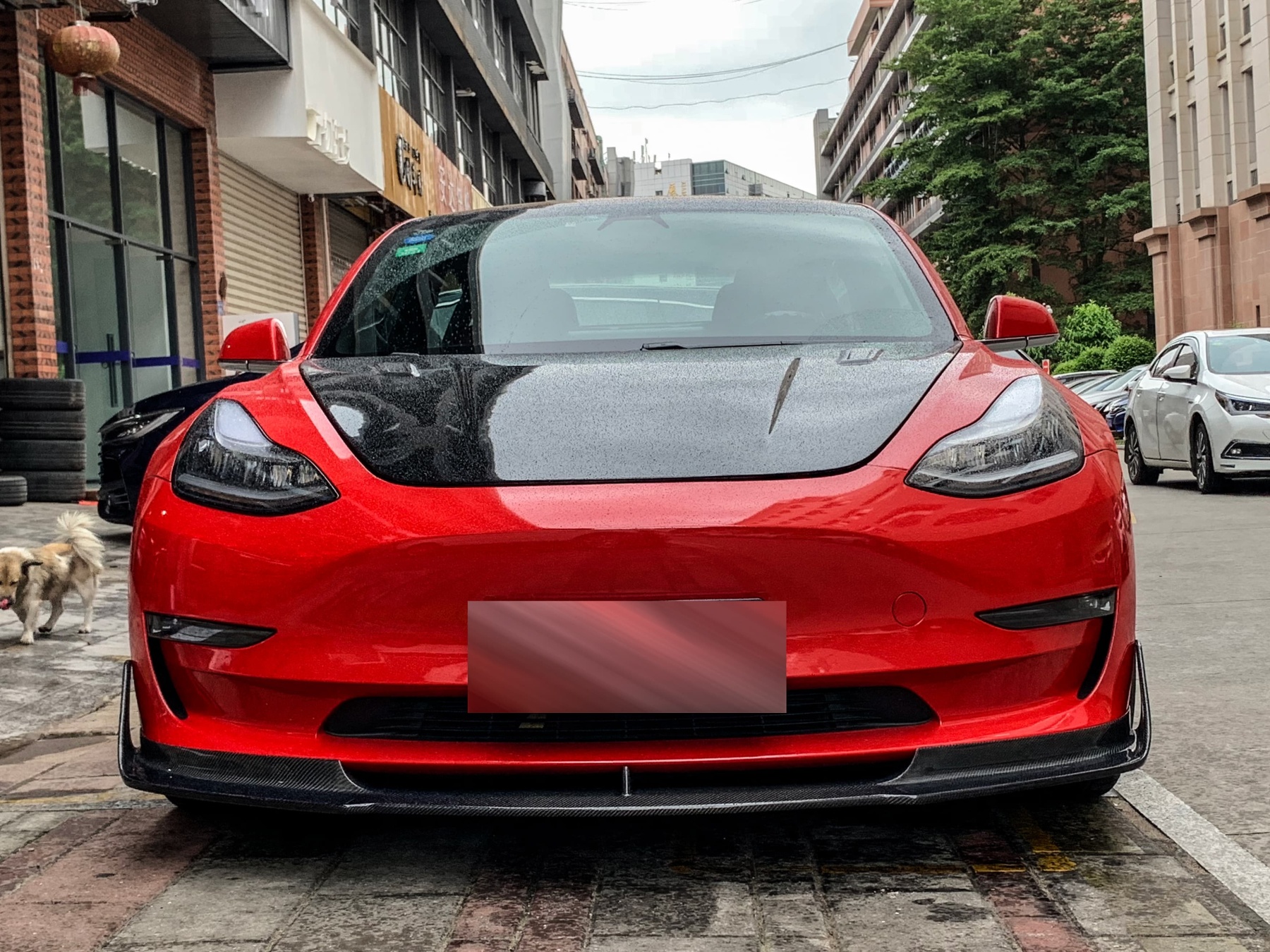Tesla Model 3 V Style Parts - styling view
