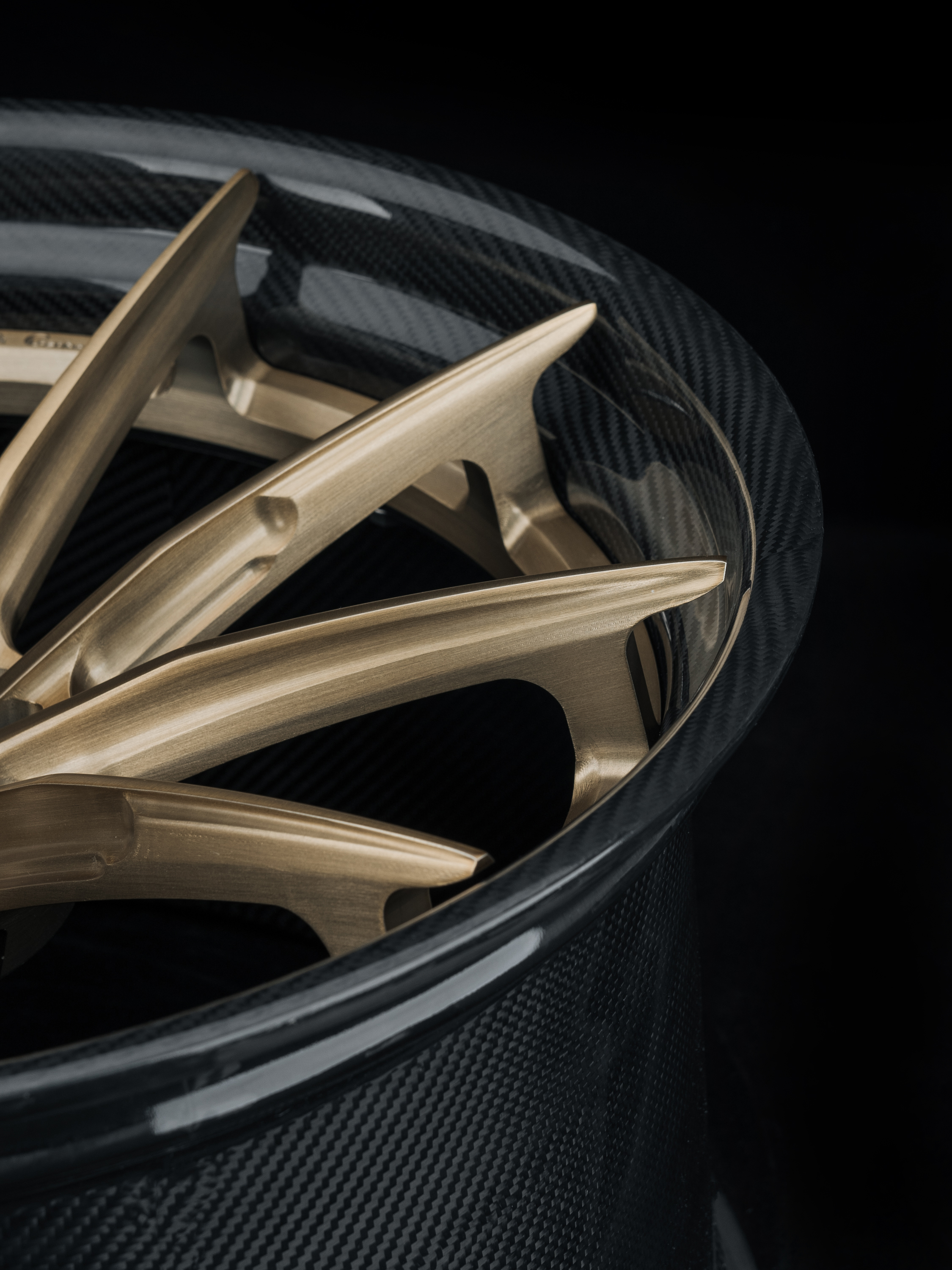 Octopus & Ocean Design Custom Carbon Fiber Wheels - styling view