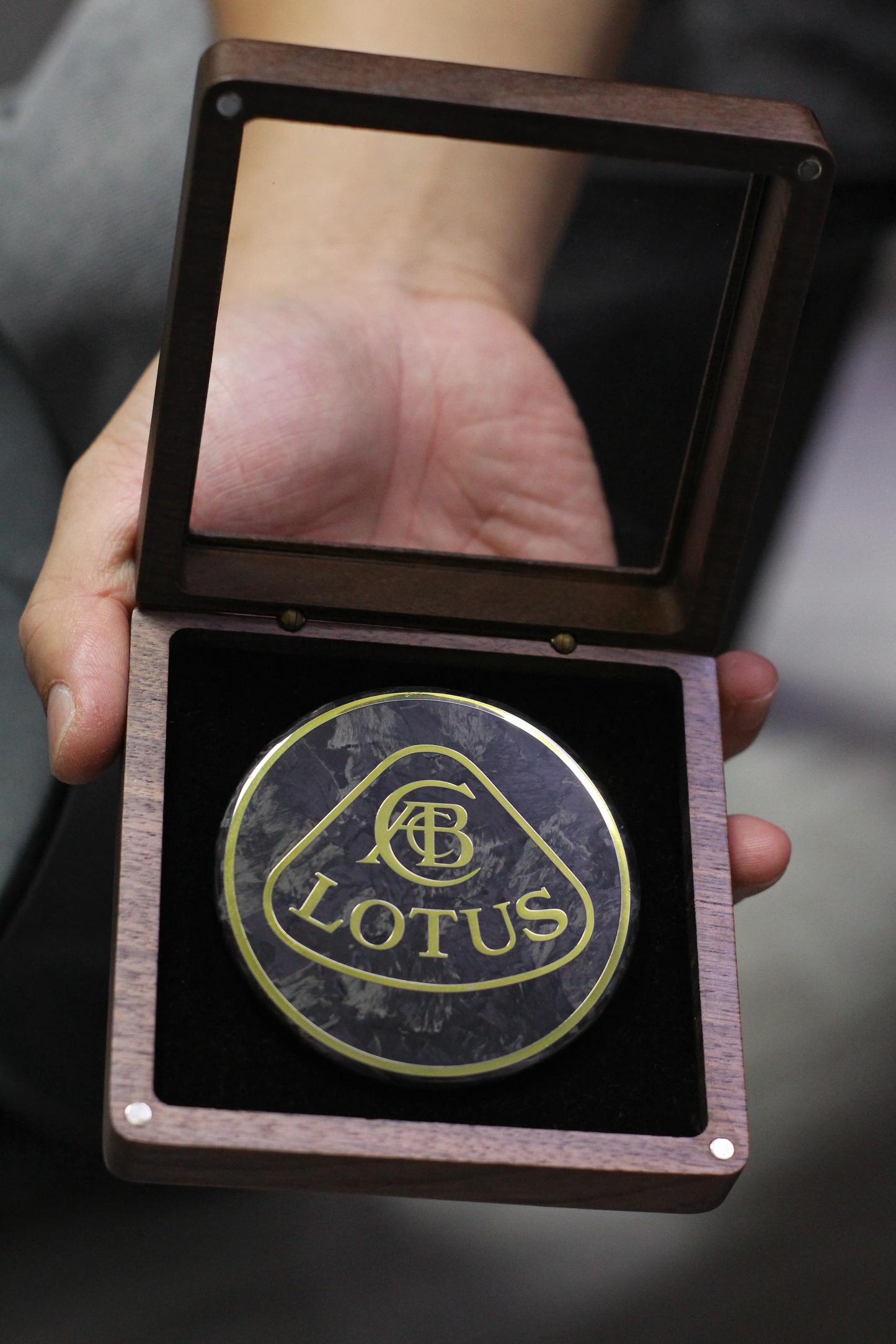 Lotus Emira/Eletre/Emeya Marble-Pattern Dry Carbon Badges - styling view