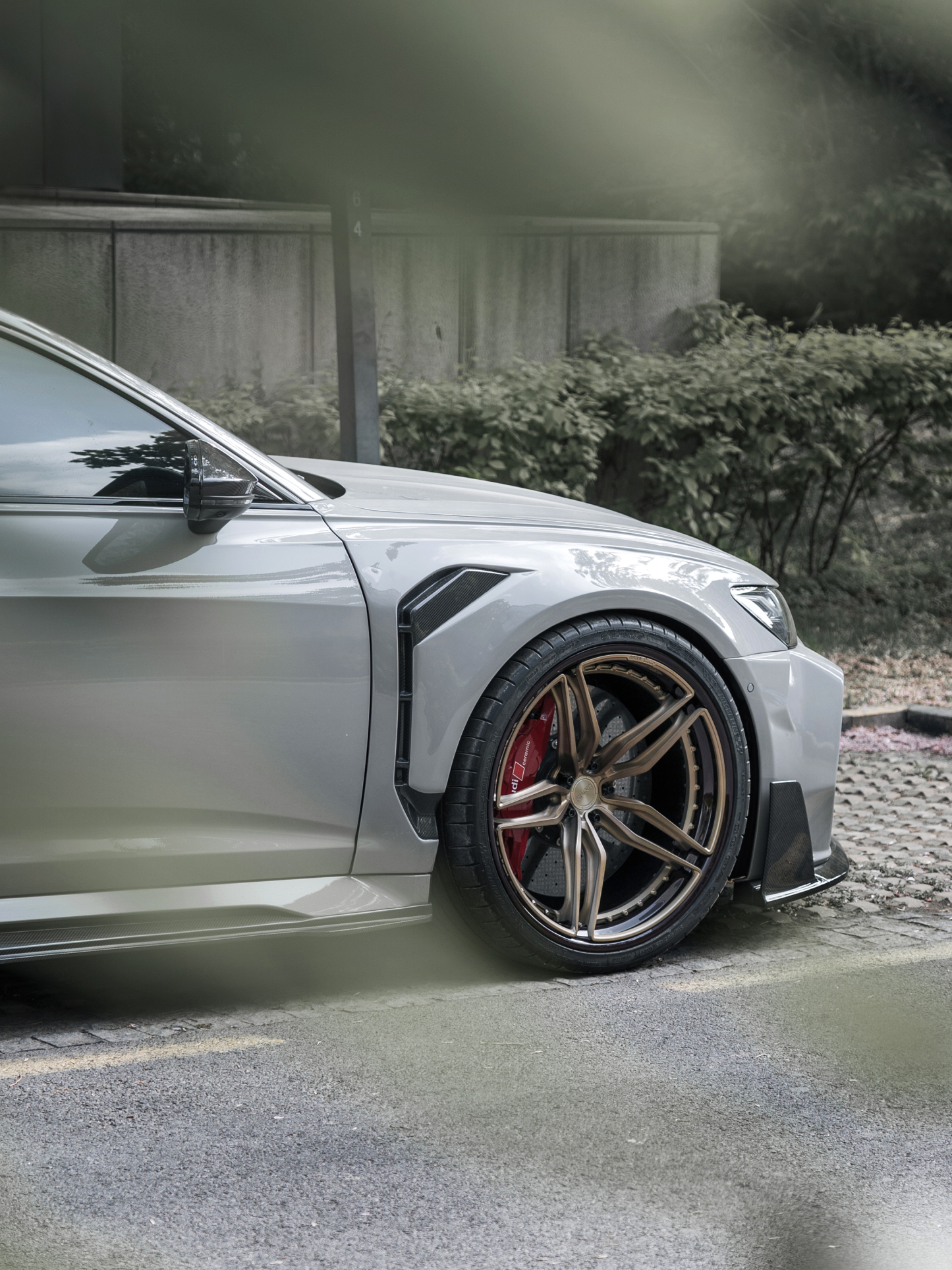 Octopus & Ocean Design Custom Carbon Fiber Wheels - styling view