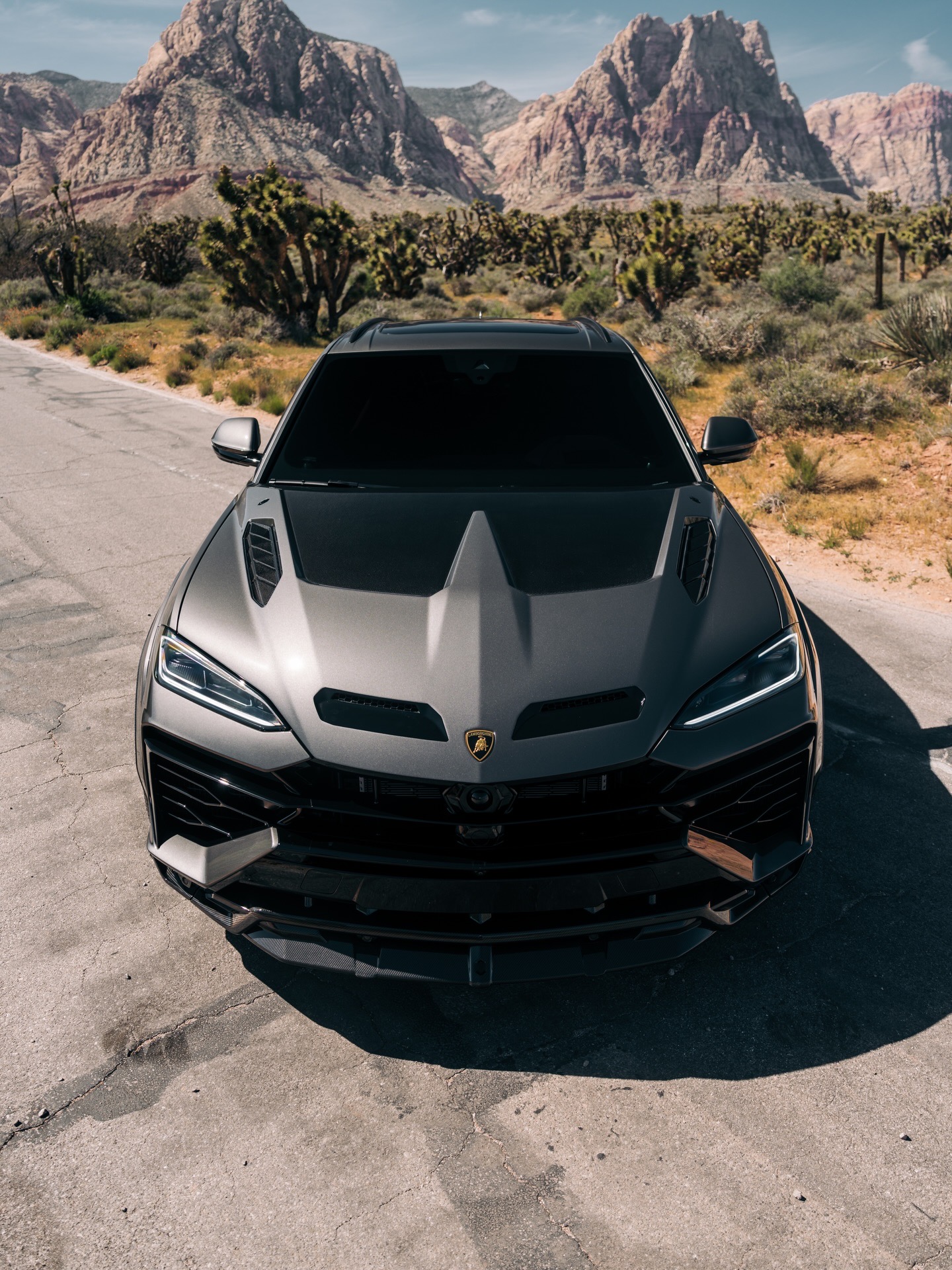 Lamborghini Urus SE U Style Parts - styling view