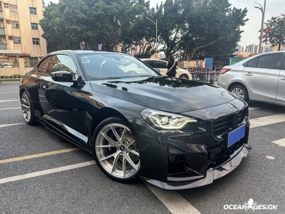2023-2025 BMW G87 M2 R Style Dry Carbon Side Skirts