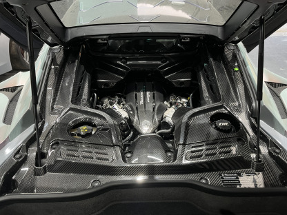 Maserati MC20 2020-2025 Engine Bay Dry Carbon Fiber OEM Series Bodykit