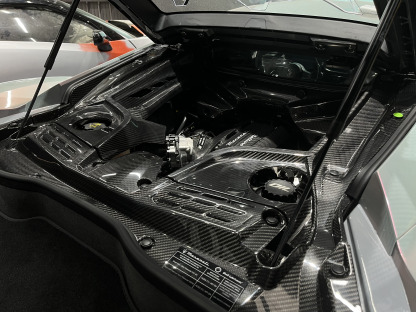 Maserati MC20 2020-2025 Engine Bay Dry Carbon Fiber OEM Series Bodykit