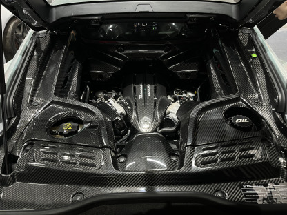 Maserati MC20 2020-2025 Engine Bay Dry Carbon Fiber OEM Series Bodykit