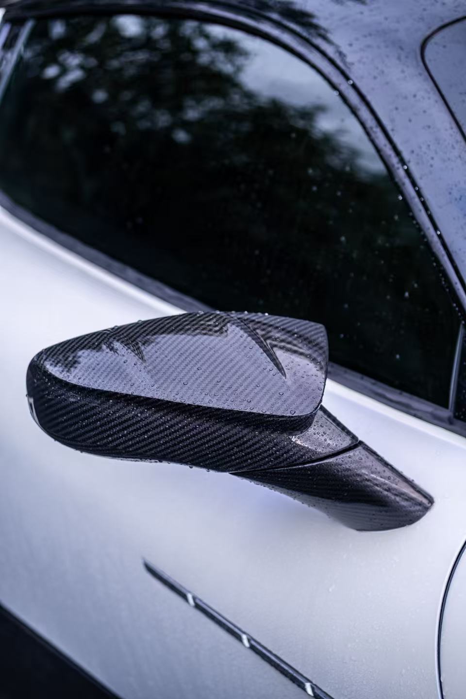 Maserati MC20 2020-2025 Wing Mirrors Housing Dry Carbon Fiber MSY Bodykit