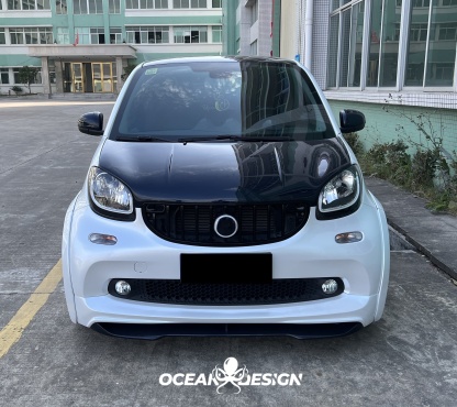 2014–2024 Smart 453 ForTwo MSY Style Front Grille Dry Carbon