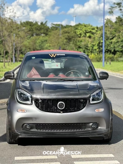 2014–2024 Smart 453 ForTwo MSY Style Front Grille Dry Carbon