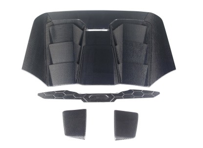 Lamborghini EVO Tecnice Style Plastic and Carbon Conversion Parts - styling reference for Rear Engine Cover - Dry Carbon