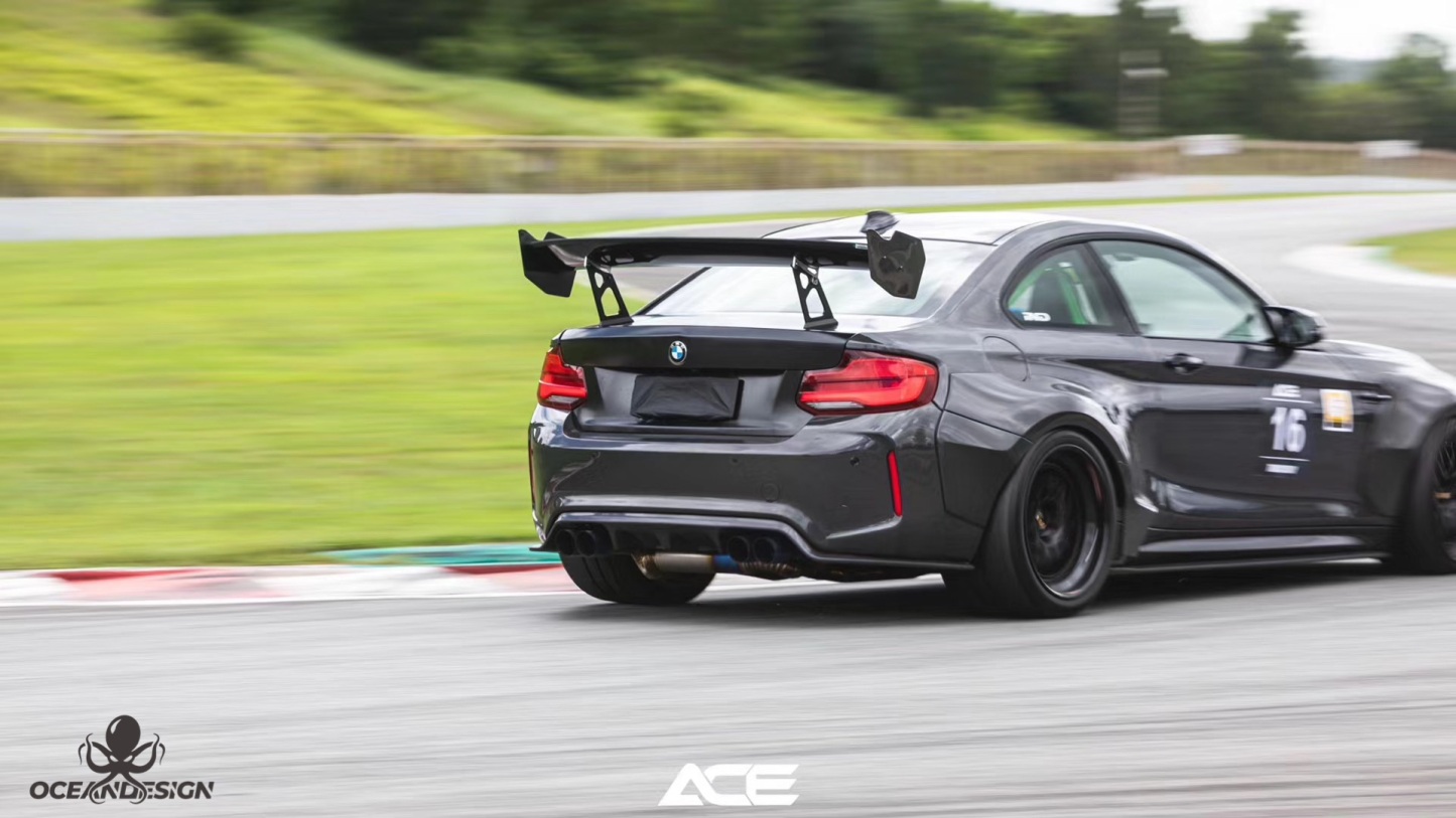 BMW F87 M2C OEM Style Carbon Fiber Body Parts - styling view