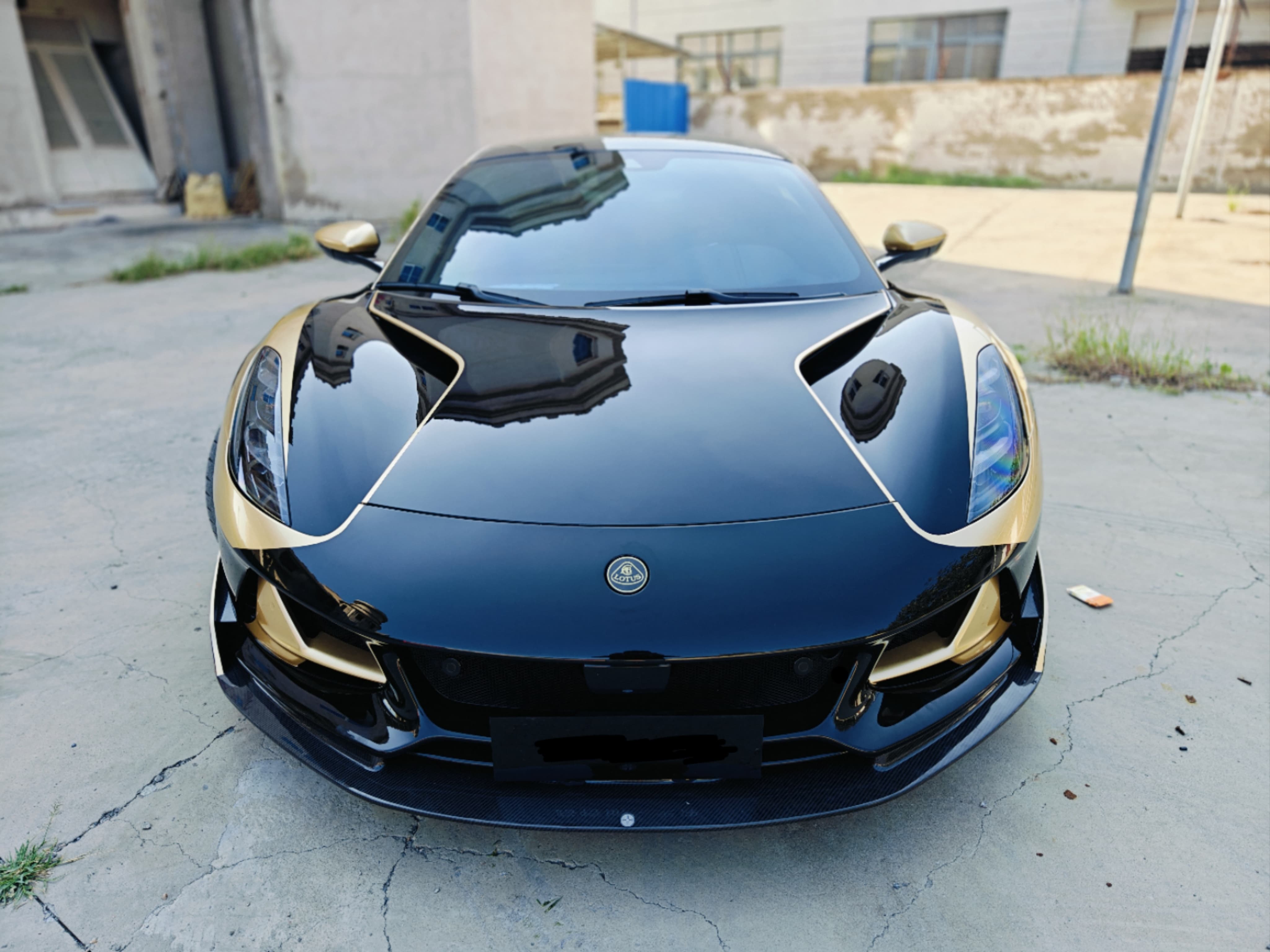 Lotus Emira/Eletre/Emeya Marble-Pattern Dry Carbon Badges - styling view