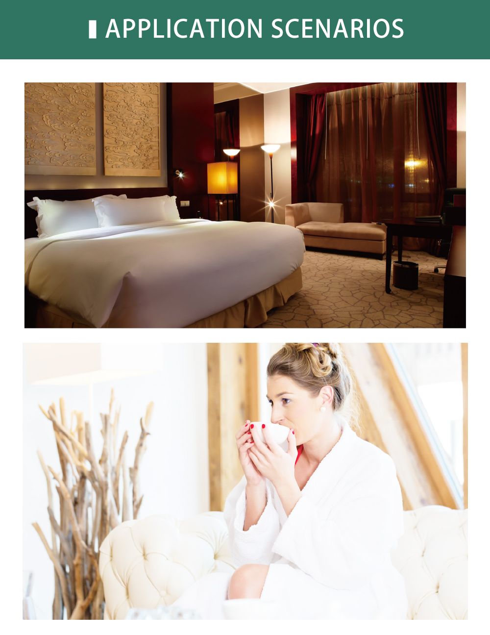 COTELL AQ-560 1L stainless steel hotel kettle with STRIX safety and dual-angle lid design