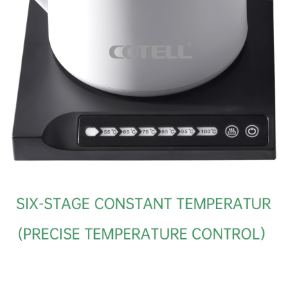 AQ-570 Stylish Teapot with Lift Handle Smart Temperature Control 0.6L Electric Kettle