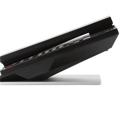 Guestroom IP Telephones AU2080A-IP