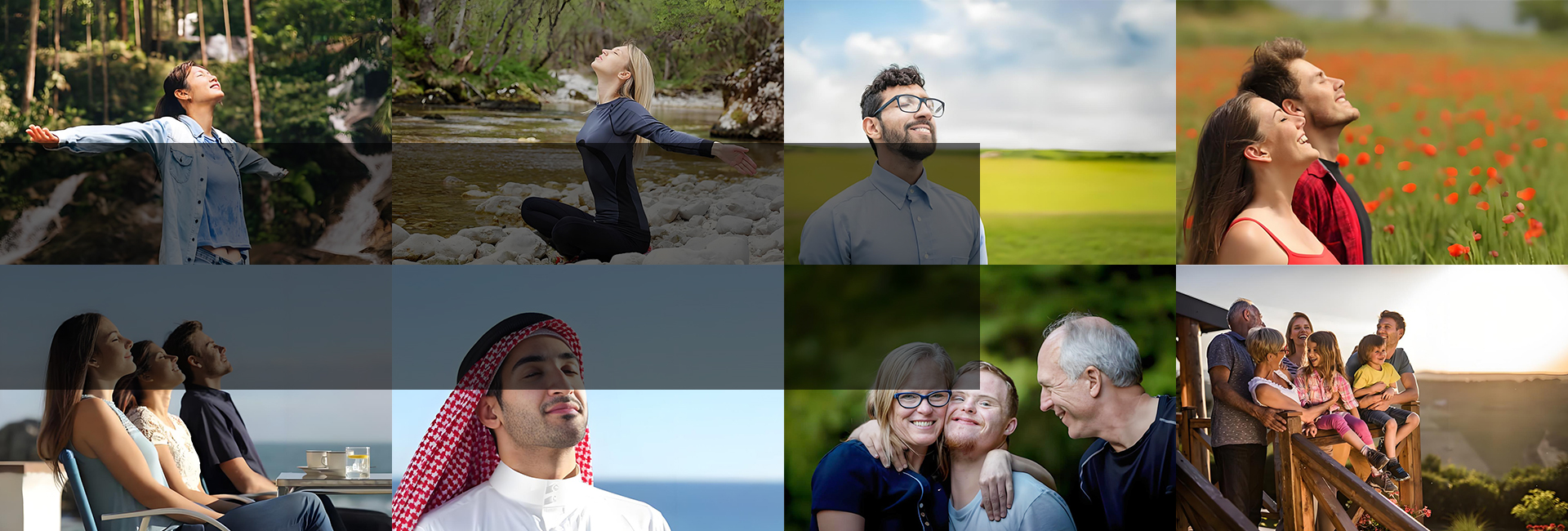 Nature-inspired air purification system by COTELL for commercial spaces — safe, sustainable, and designed to deliver a fresh, healthy atmosphere.