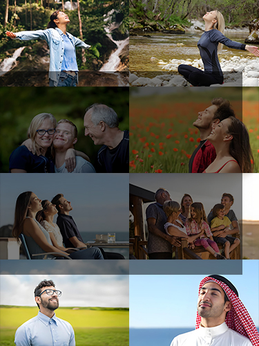 Nature-inspired air purification system by COTELL for commercial spaces — safe, sustainable, and designed to deliver a fresh, healthy atmosphere.