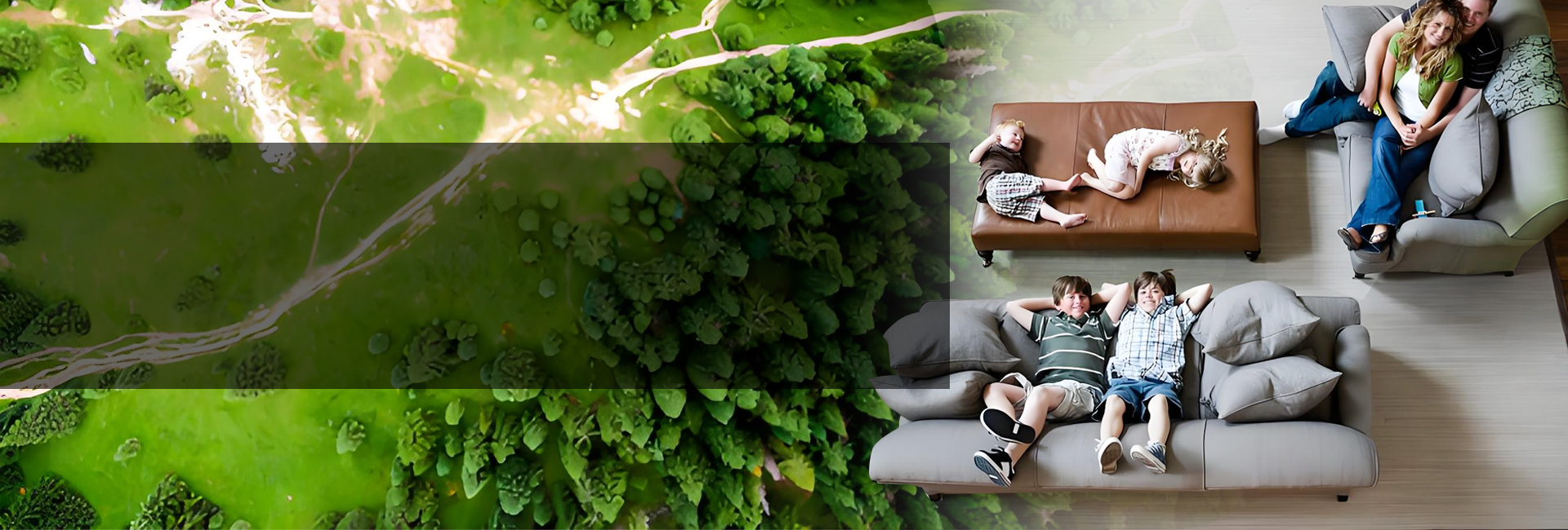COTELL commercial air purifier bringing forest-fresh air to hotels, wellness centers, and guest rooms — natural, calming, and revitalizing.