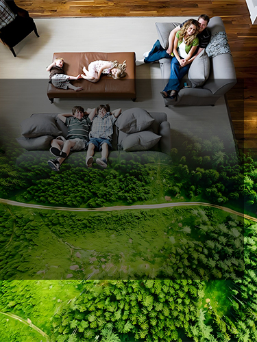 COTELL commercial air purifier bringing forest-fresh air to hotels, wellness centers, and guest rooms — natural, calming, and revitalizing.