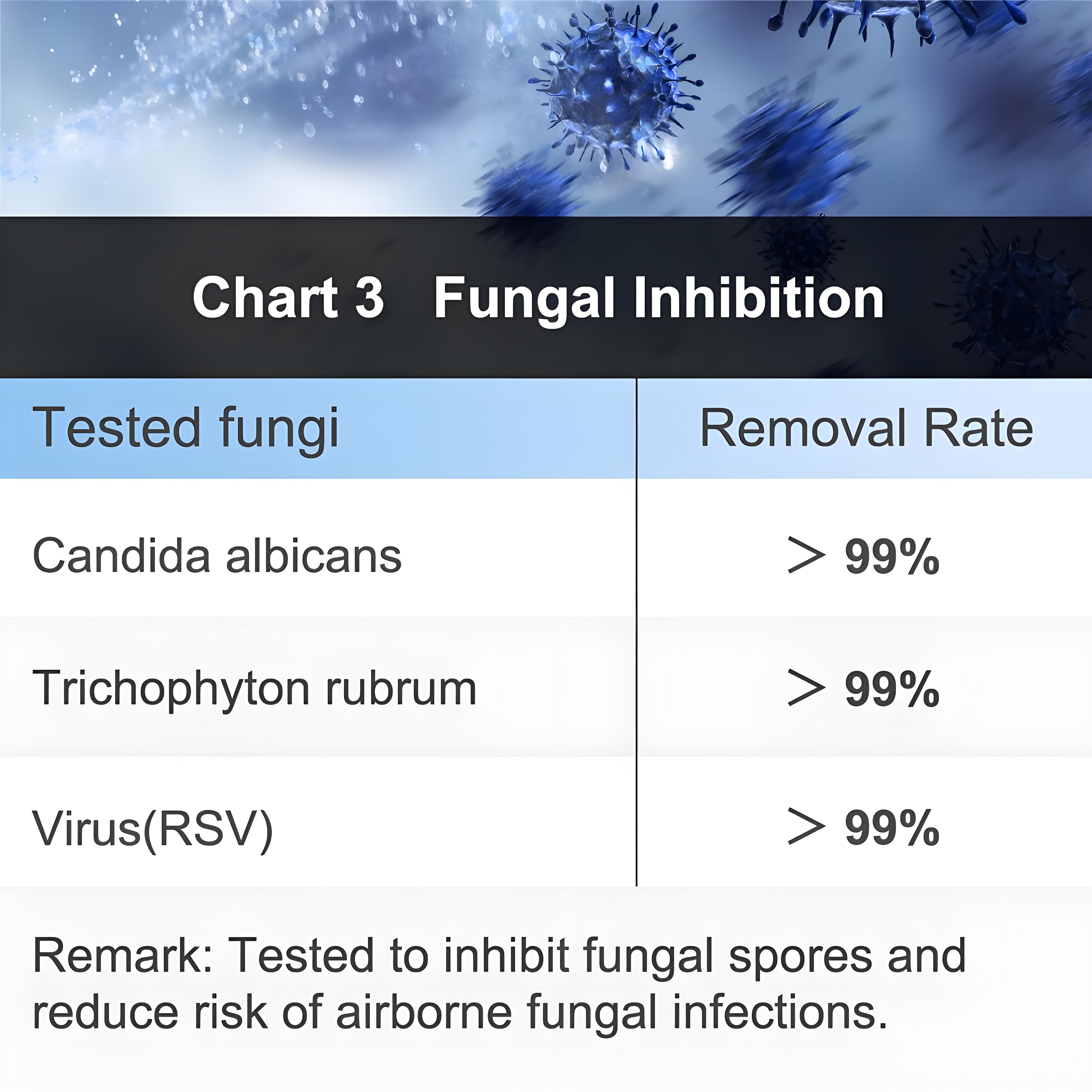 Fungal removal efficiency chart of COTELL air purification system — scientific data supporting high sterilization standards in public and healthcare settings.